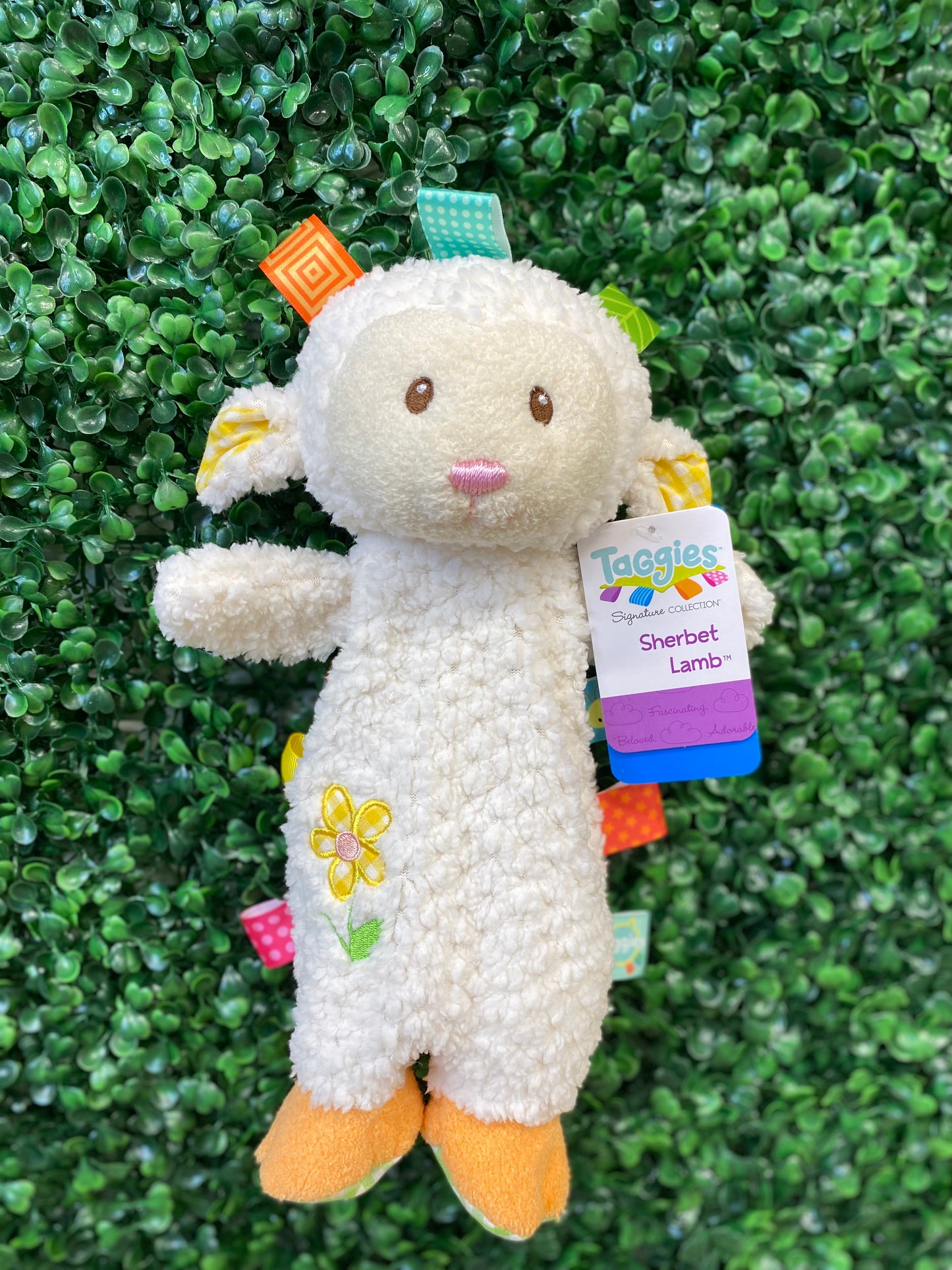 Taggies Sherbet Lamb Lovey