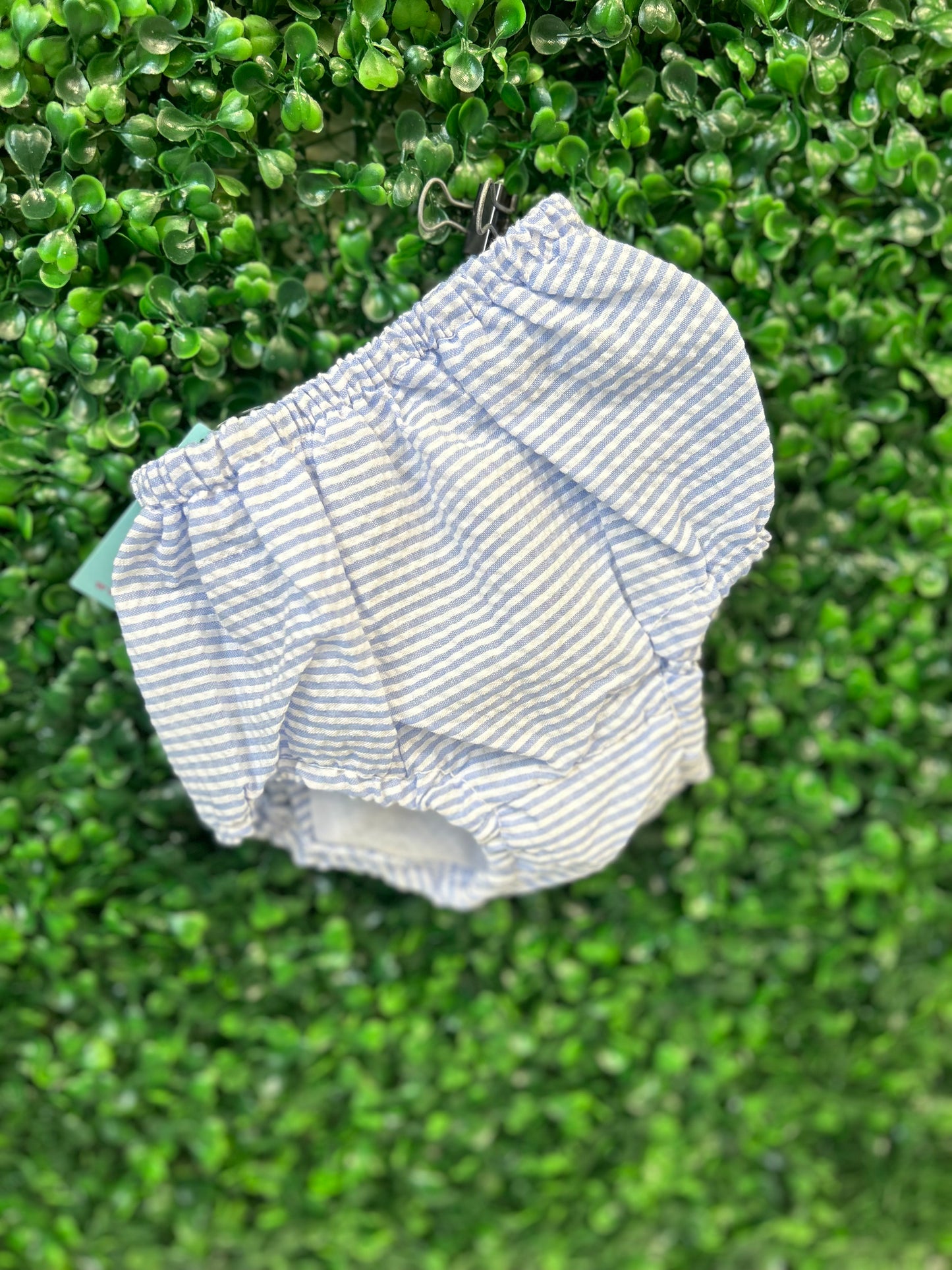 Baby Blue Seersucker Bloomers 0-6M