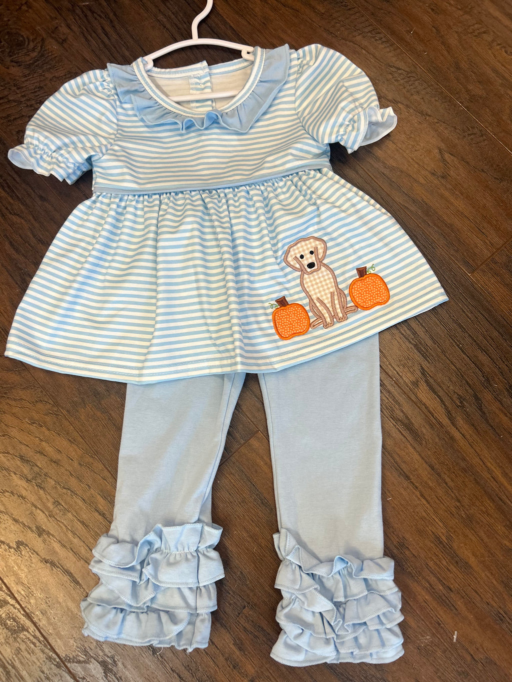 Girl pumpkins and puppy two-piece outfit